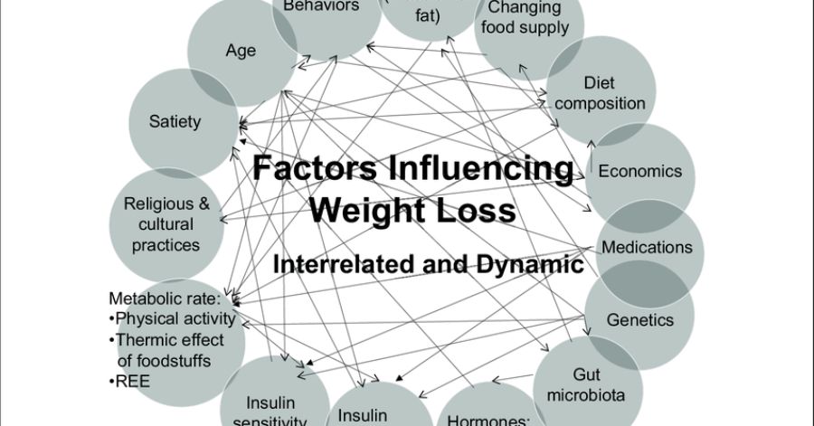 Factors Influencing LRP's Complexity