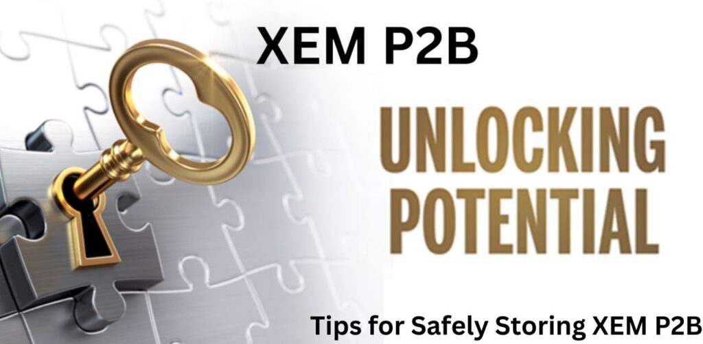 Tips for Safely Storing XEM P2B